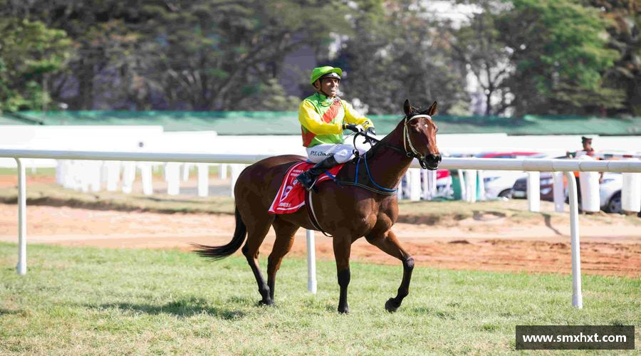 6686官网热血沸腾，荣耀终归！